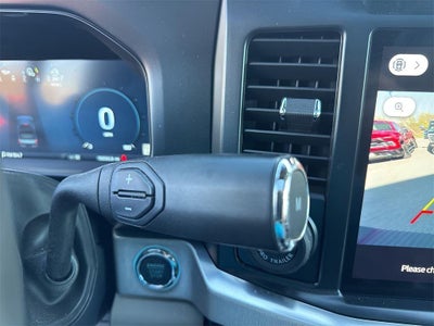 2025 Ford Super Duty F-350 SRW Platinum