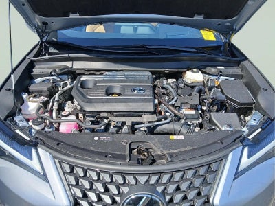 2025 Lexus UX UX 300h Premium