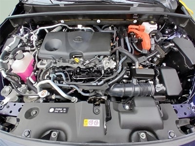 2024 Toyota RAV4 Prime XSE