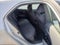 2023 Toyota Corolla Hatchback SE
