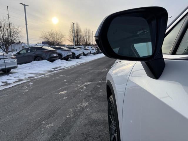 2025 Lexus NX 250 AWD