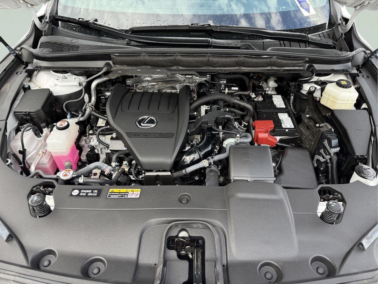 2024 Lexus RX 350 RX 350 Premium