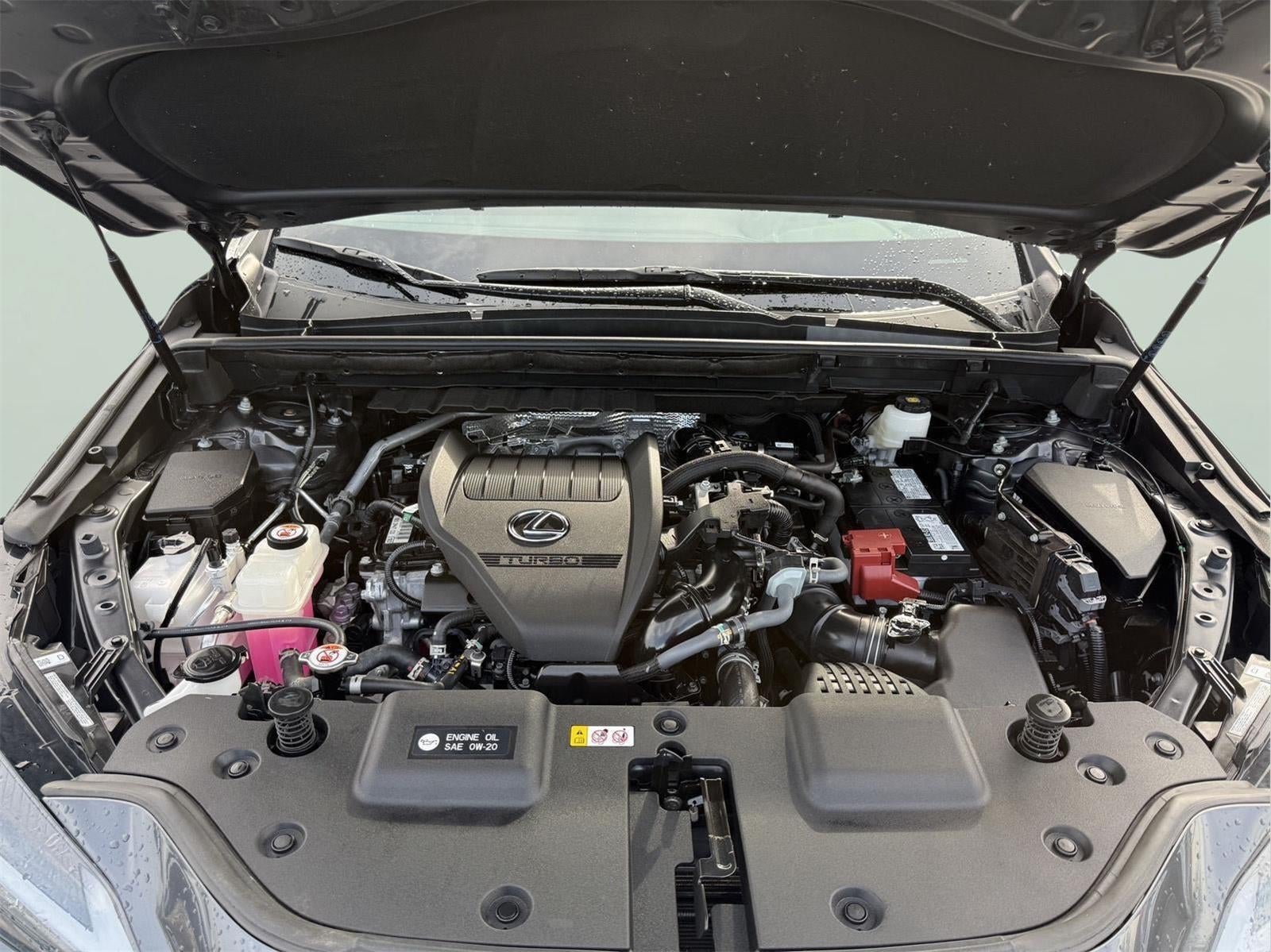 2024 Lexus NX NX 350 Premium