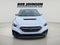 2023 Subaru WRX Limited