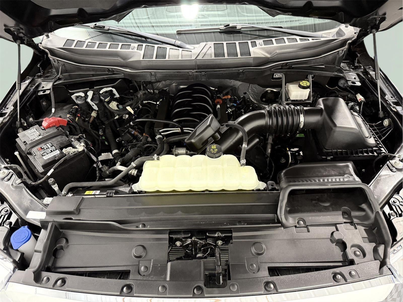 2023 Ford F-150 XLT 4WD SuperCrew 5.5' Box